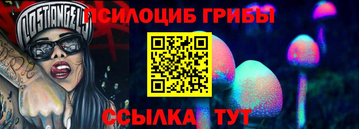 Галлюциногенные грибы Psilocybe  Галлюциногенные грибы Cubensis  Вход с VPN  Мытищи 